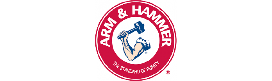 Arm & Hammer 力搥牌 礦物 凝結砂