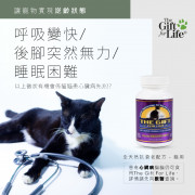 The Gift for life 大長生 貓 - 60粒裝